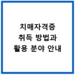 치매자격증 취득 방법과 활용 분야 안내