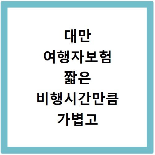 대만 여행자보험 짧은 비행시간만큼 가볍고 실속 있는 보험 추천
