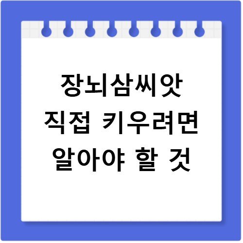 장뇌삼씨앗 직접 키우려면 알아야 할 것