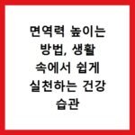 면역력 높이는 방법, 생활 속에서 쉽게 실천하는 건강 습관