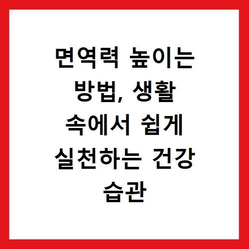 면역력 높이는 방법, 생활 속에서 쉽게 실천하는 건강 습관