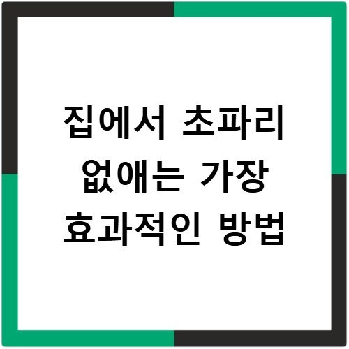 집에서 초파리 없애는 가장 효과적인 방법